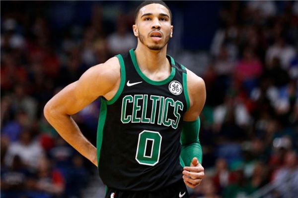 这一庞大的 这一庞大的