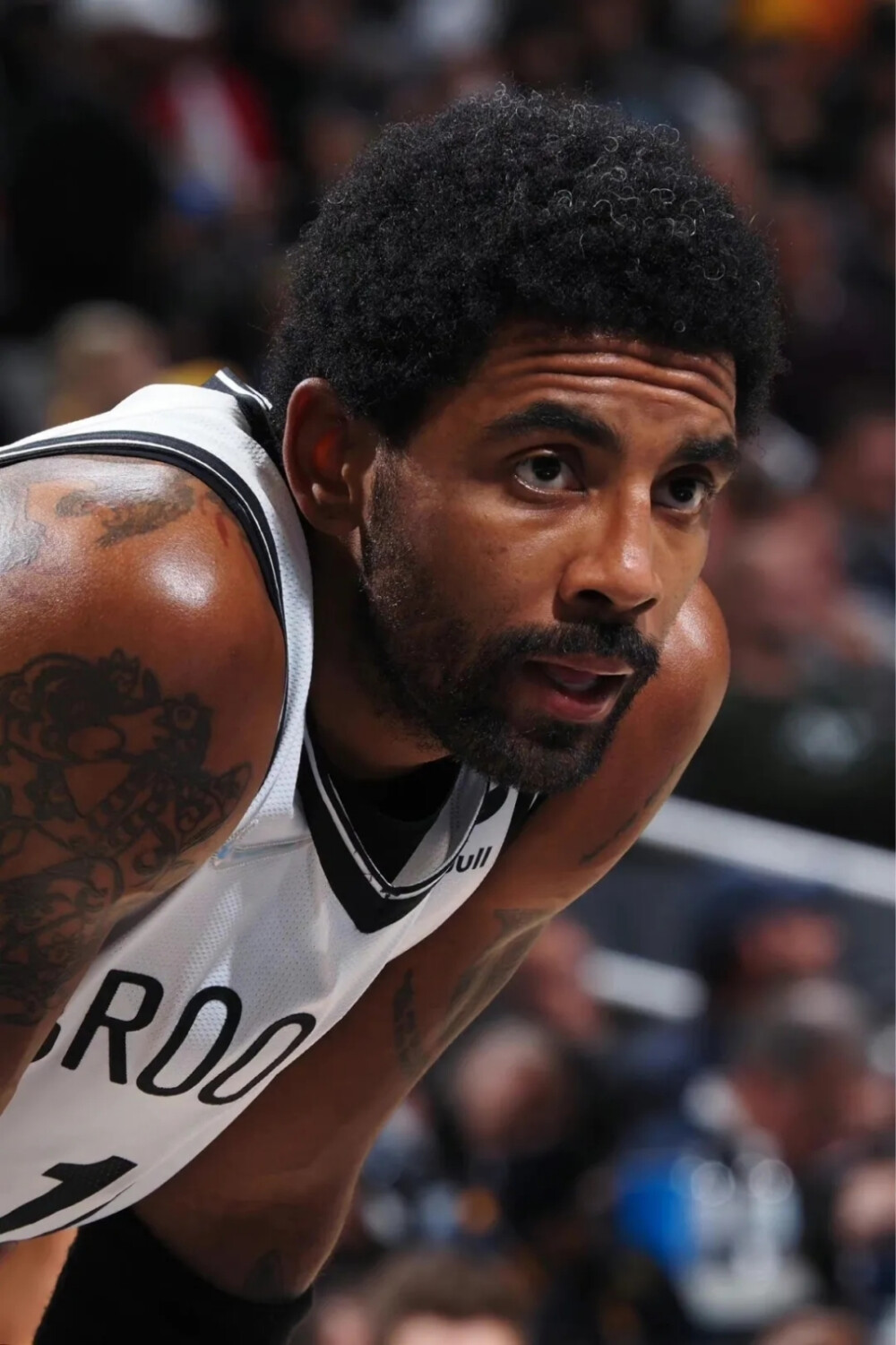 国服仍在继 国服仍在继